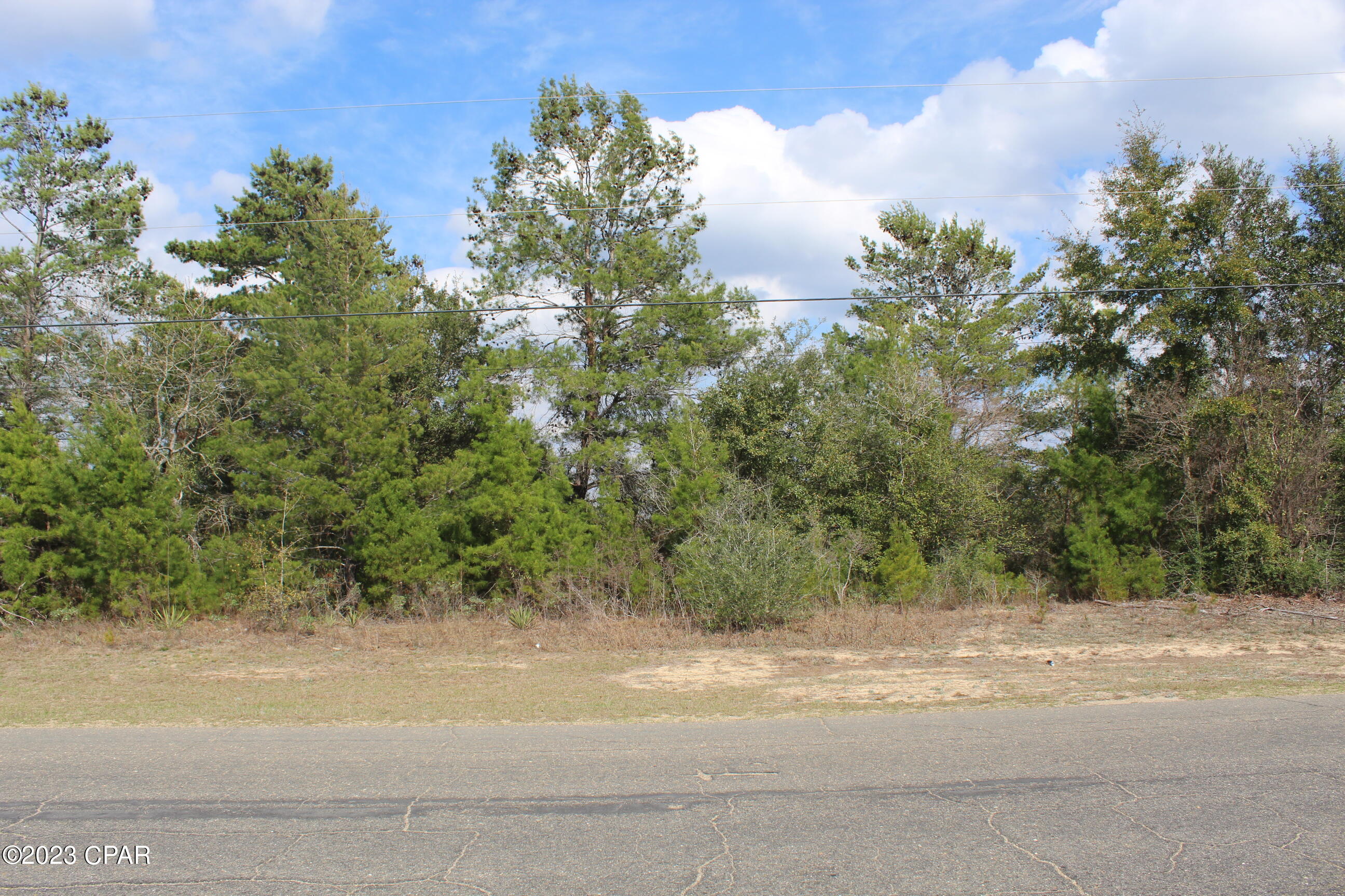 Lot 18-19 Deadening Road Chipley, FL 32428 - Photo 1 of 4 Gallery Image 1