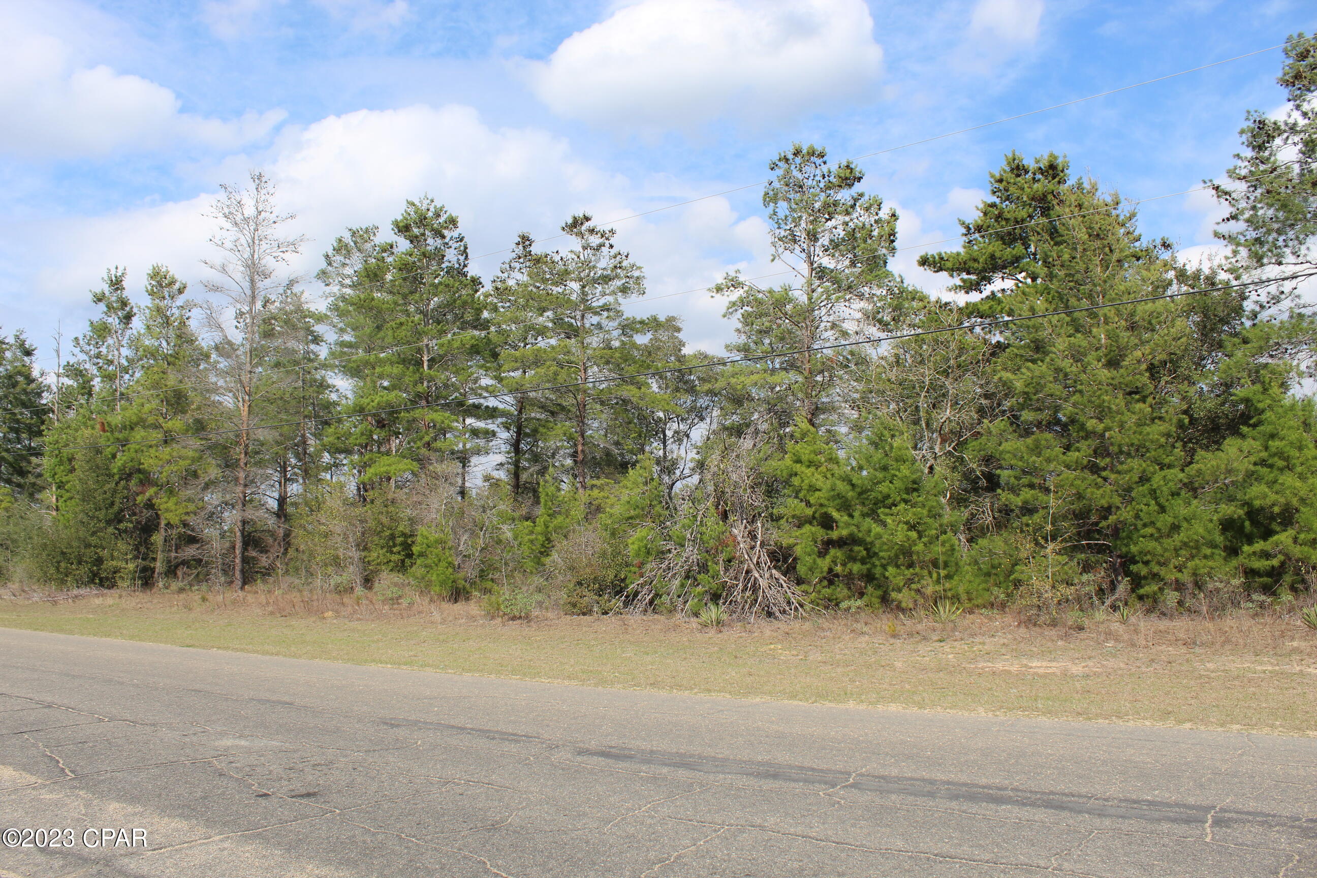 Lot 18-19 Deadening Road Chipley, FL 32428 - Photo 2 of 4 Gallery Image 2