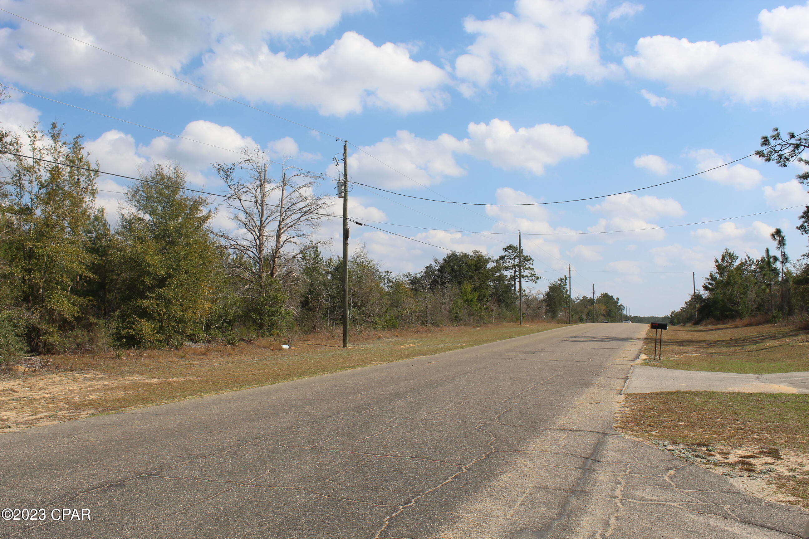 Lot 18-19 Deadening Road Chipley, FL 32428 - Photo 3 of 4 Gallery Image 3