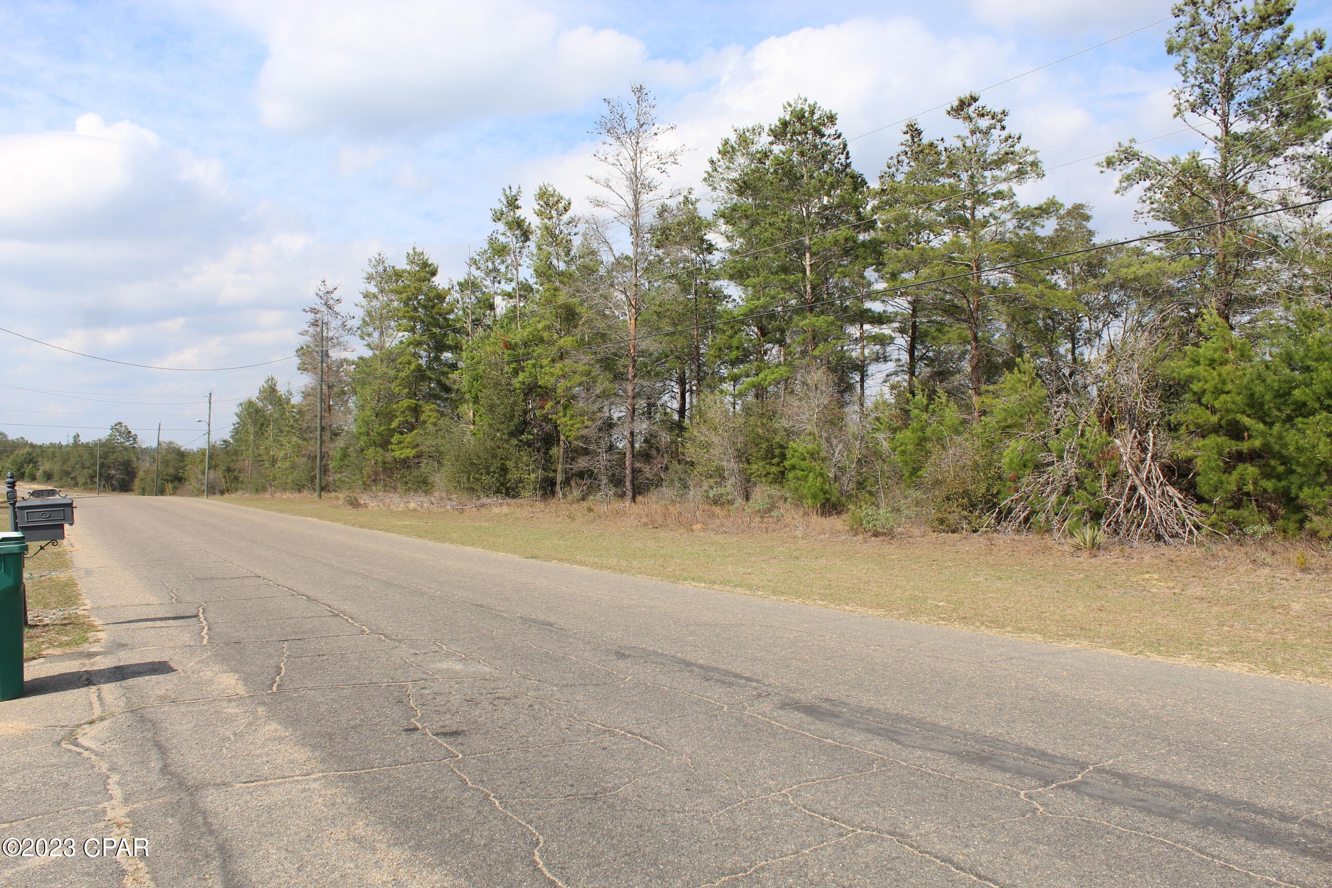 Lot 18-19 Deadening Road Chipley, FL 32428 - Photo 4 of 4 Gallery Image 4