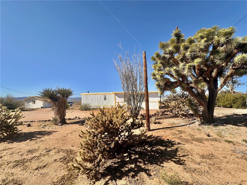 3309 Bacobi Road Golden Valley, AZ 86413 - Photo 2 of 31 View of yard