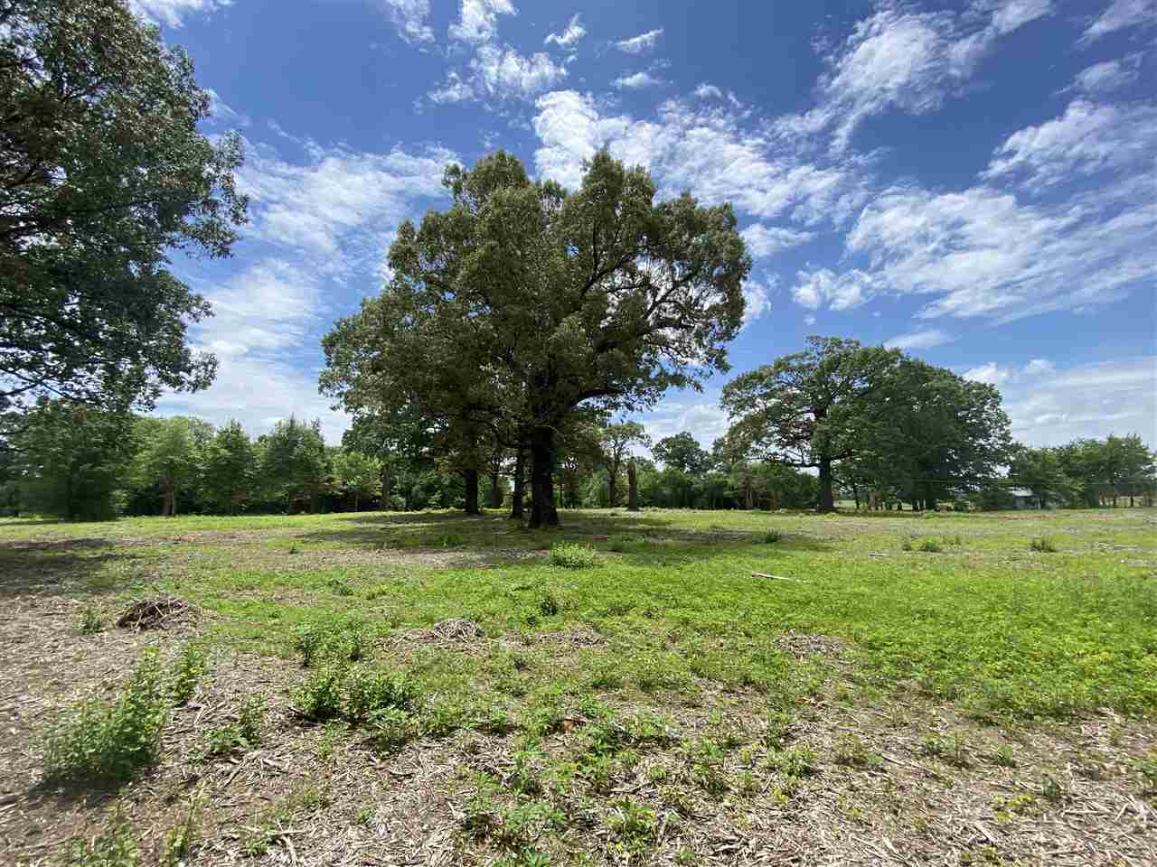 Lot #5 Karcher Road Somerville, TN 38068 - Photo 12 of 17 Gallery Image 12