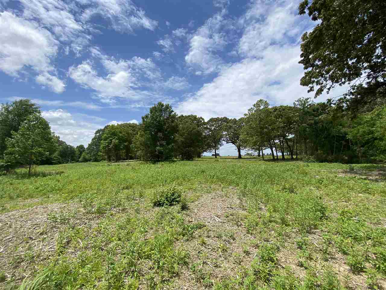 Lot #5 Karcher Road Somerville, TN 38068 - Photo 14 of 17 Gallery Image 14
