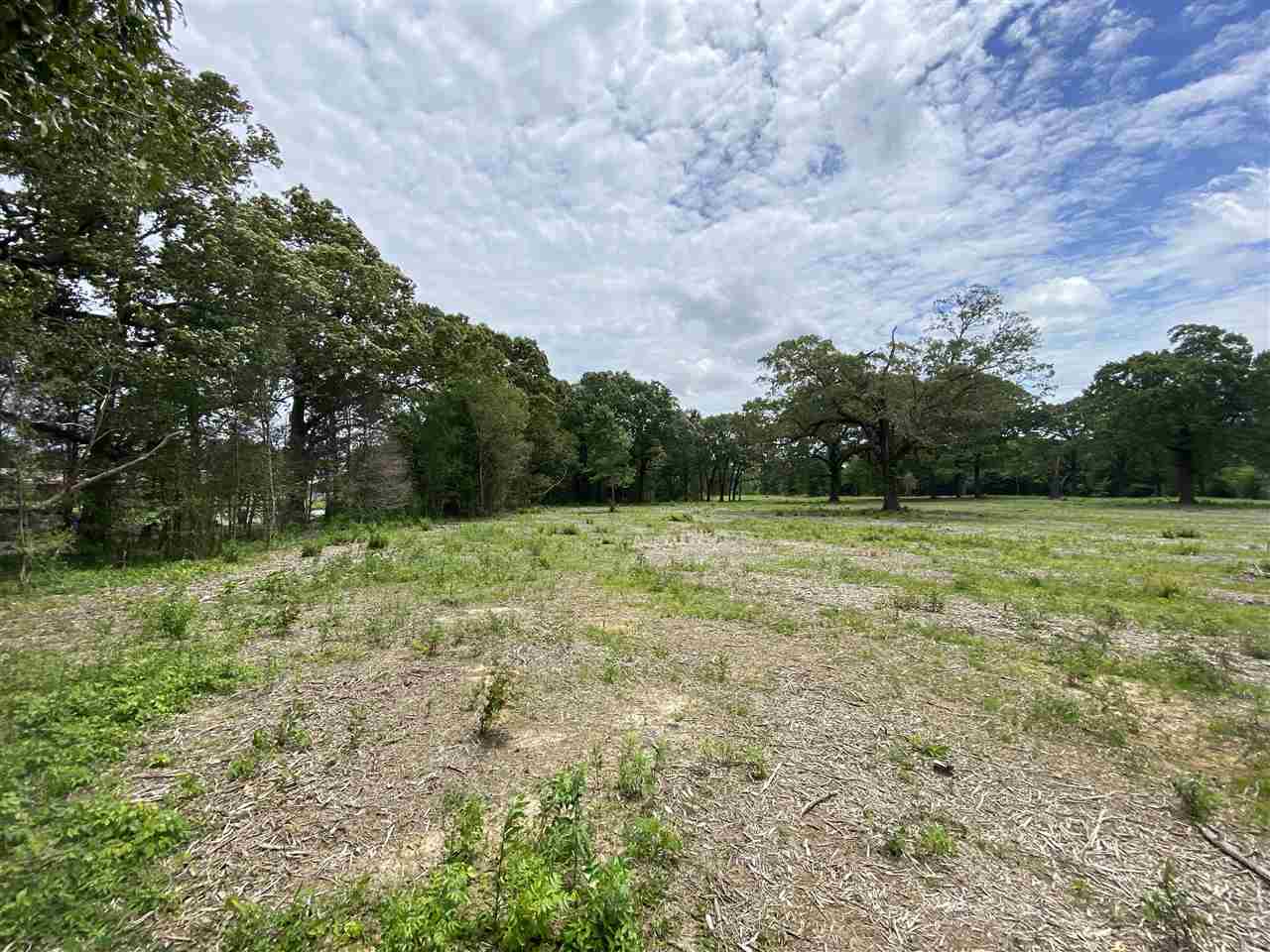 Lot #5 Karcher Road Somerville, TN 38068 - Photo 8 of 17 Gallery Image 8