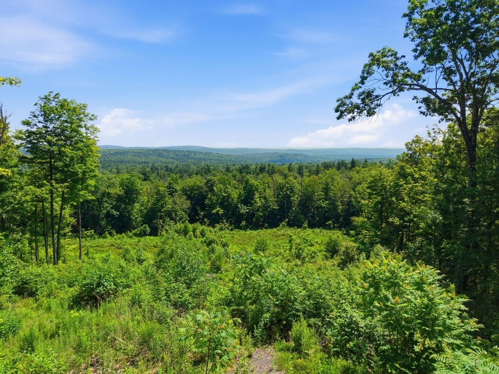 108 Mountain Road Princeton, MA 01541 - Photo 6 of 6 Gallery Image 6