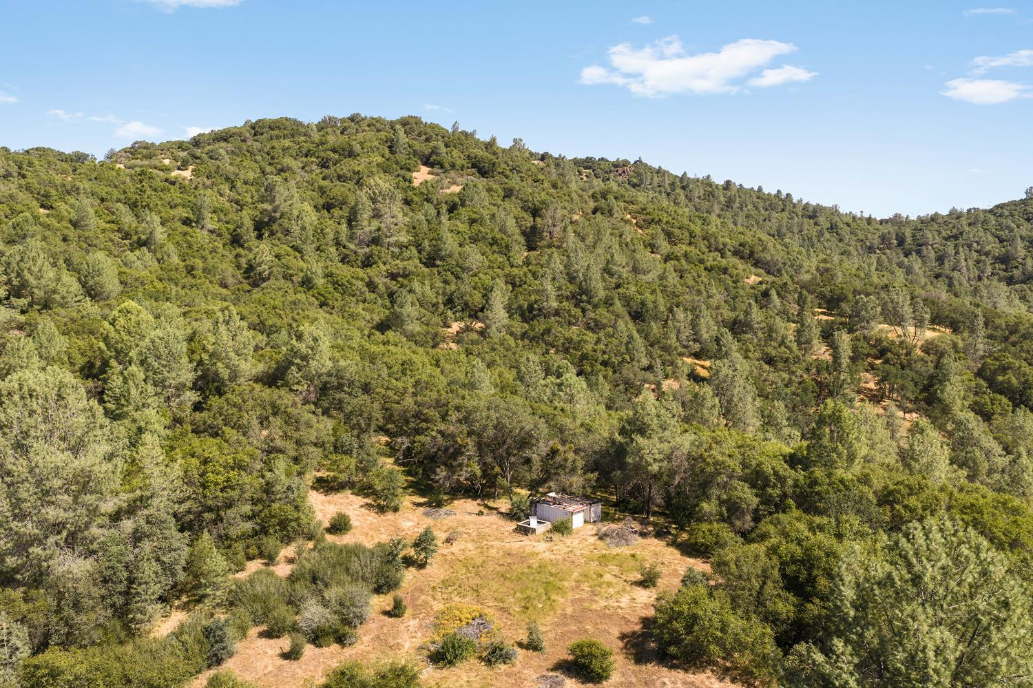 1484 Oregon Gulch Road Oroville, CA 95965 - Photo 49 of 78