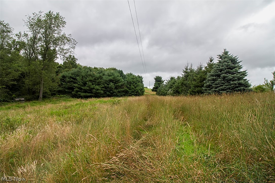 5854 Dog Run Road Mineral City, OH 44656 - Photo 22 of 24