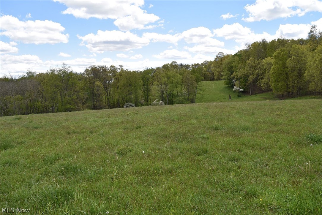 252 Waynesburg Road Northeast Carrollton, OH 44615 - Photo 15 of 35