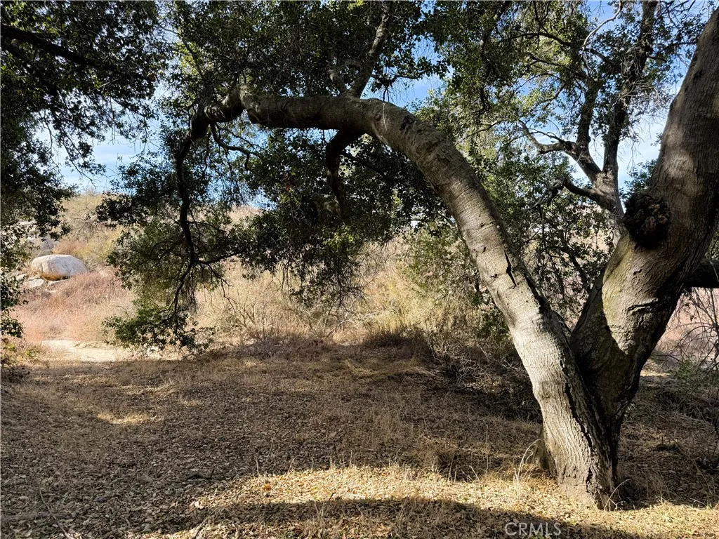 0 Scanlon Road Temecula, CA 92592 - Photo 13 of 21 a view of a tree in a yard