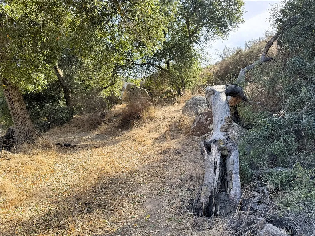 0 Scanlon Road Temecula, CA 92592 - Photo 15 of 21 a view of a yard with trees