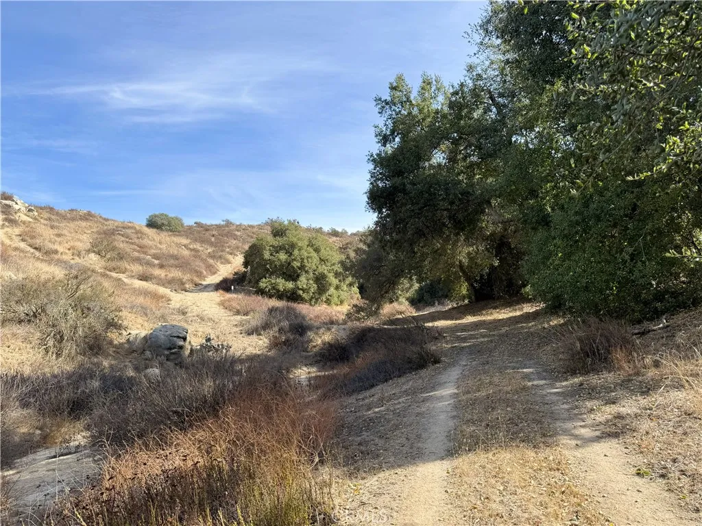 0 Scanlon Road Temecula, CA 92592 - Photo 16 of 21 a view of a yard with a tree