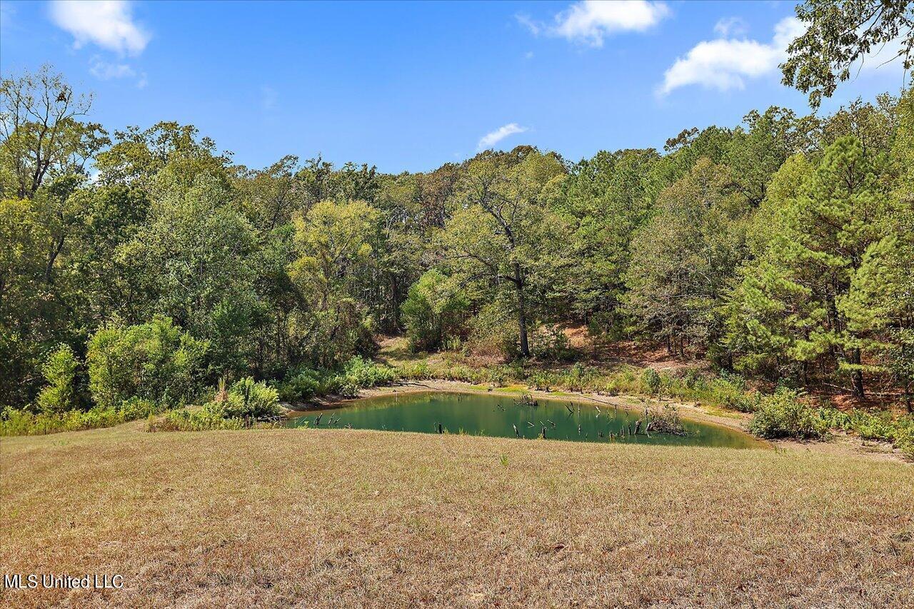 871 Mullican Road Florence, MS 39073 - Photo 23 of 26 m pond