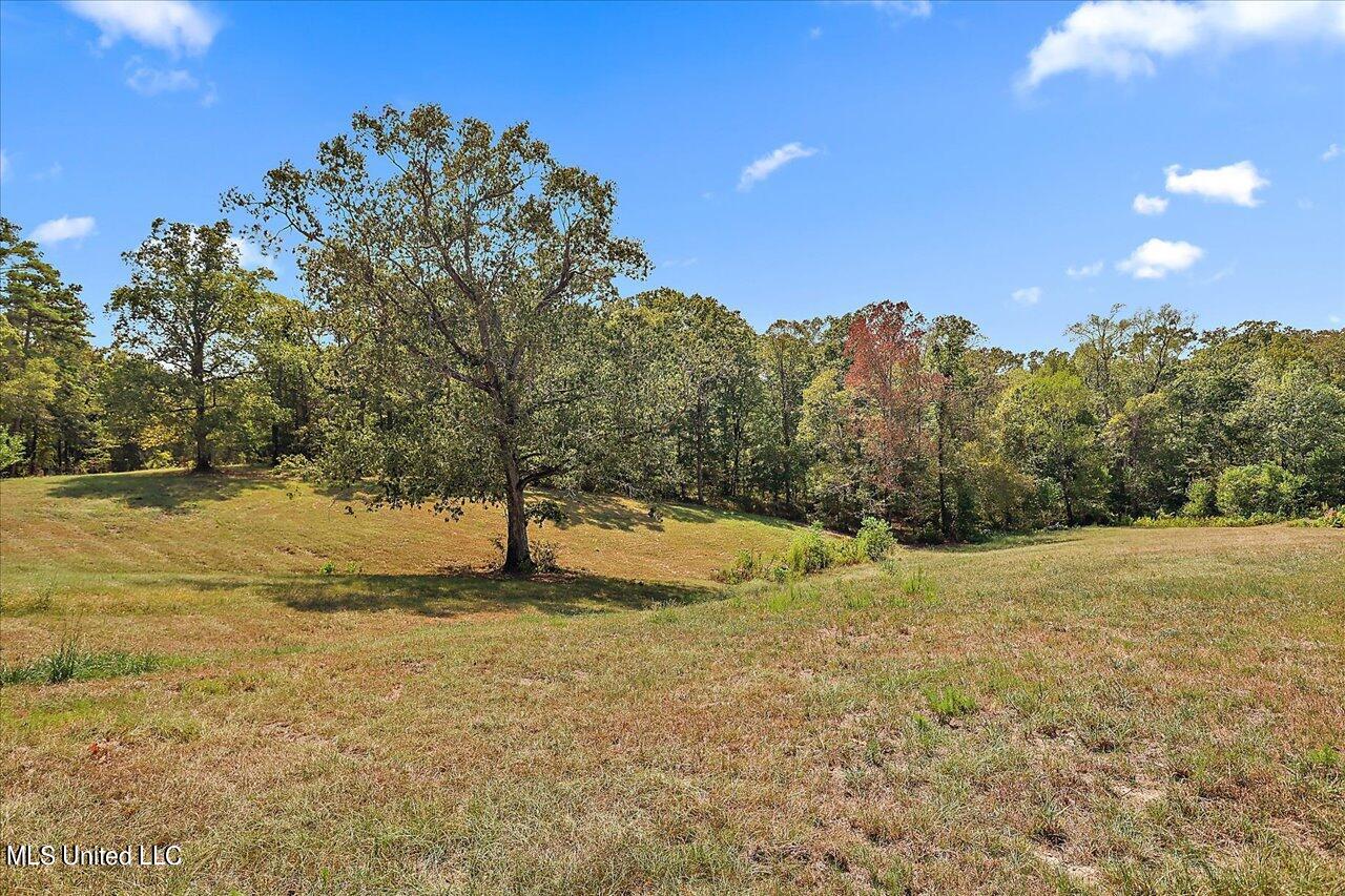 871 Mullican Road Florence, MS 39073 - Photo 24 of 26 m land