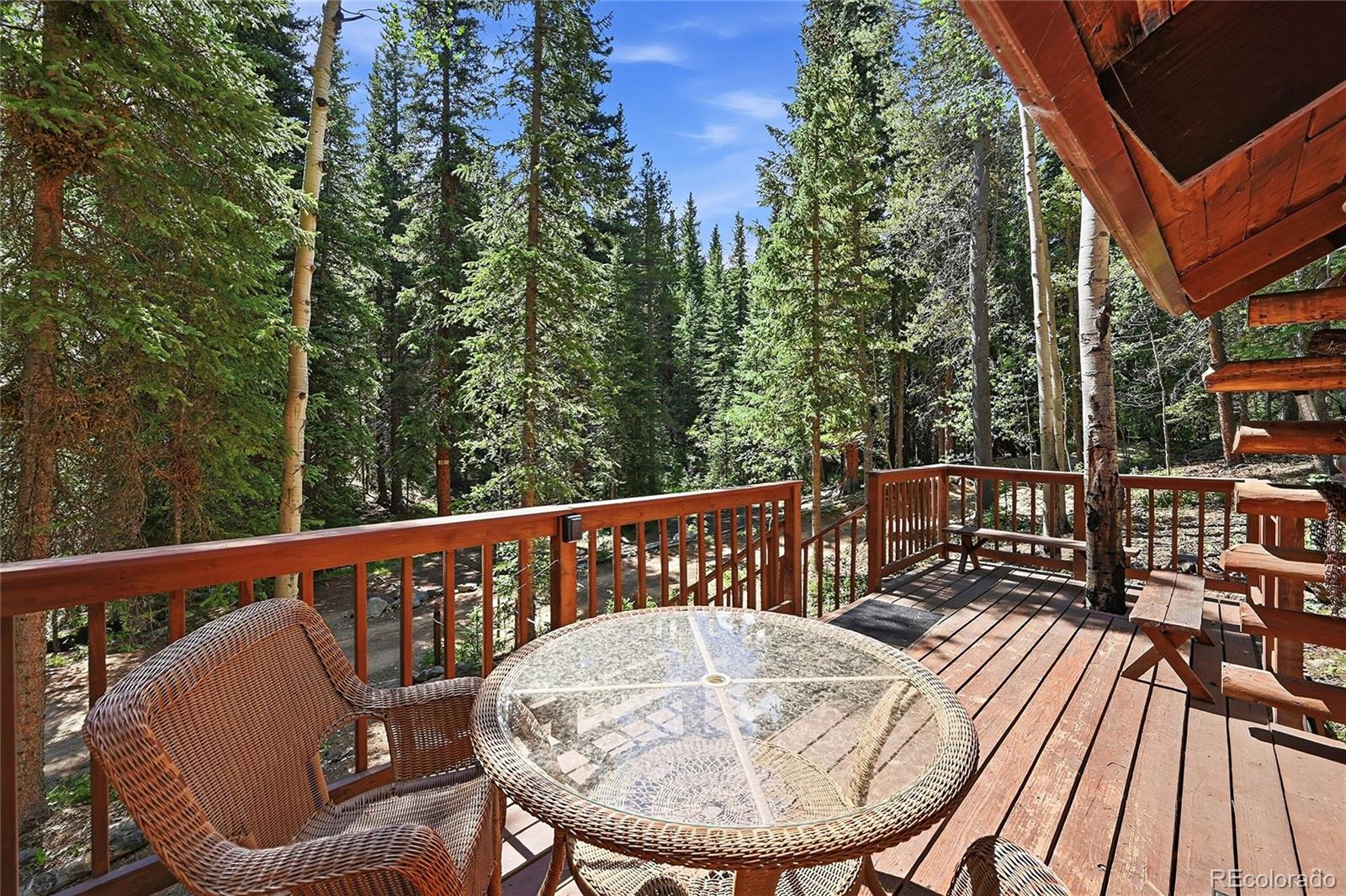 907 Hefferman Gulch Road Idaho Springs, CO 80452 - Photo 5 of 28