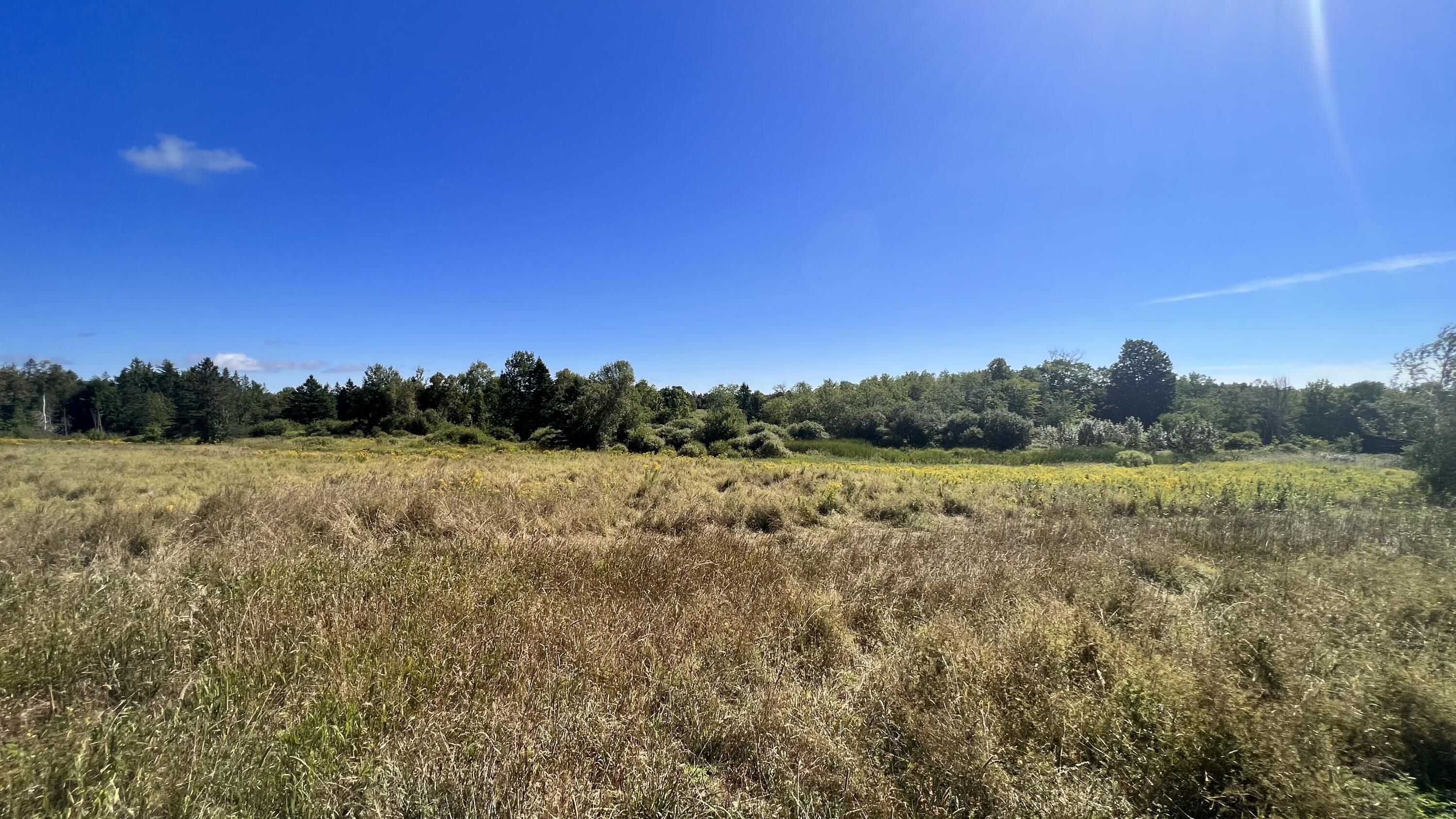 483 North Dexter Road Dexter, ME 04930 - Photo 54 of 55 IMG-0246