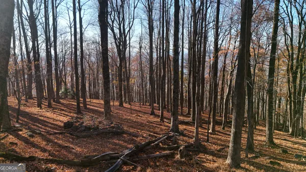 $149,900 | Lot 11 Mountainside Drive, Cleveland, GA 30528