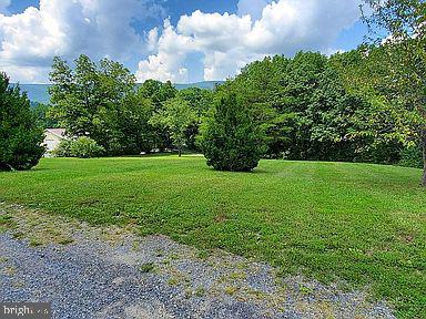 141 Star Tannery Road Star Tannery, VA 22654 - Photo 5 of 16 Gallery Image 5