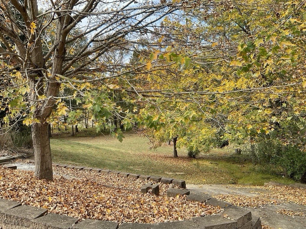 82 Tuckaway Ridge Cadiz, KY 42211 - Photo 62 of 67 Gallery Image 62