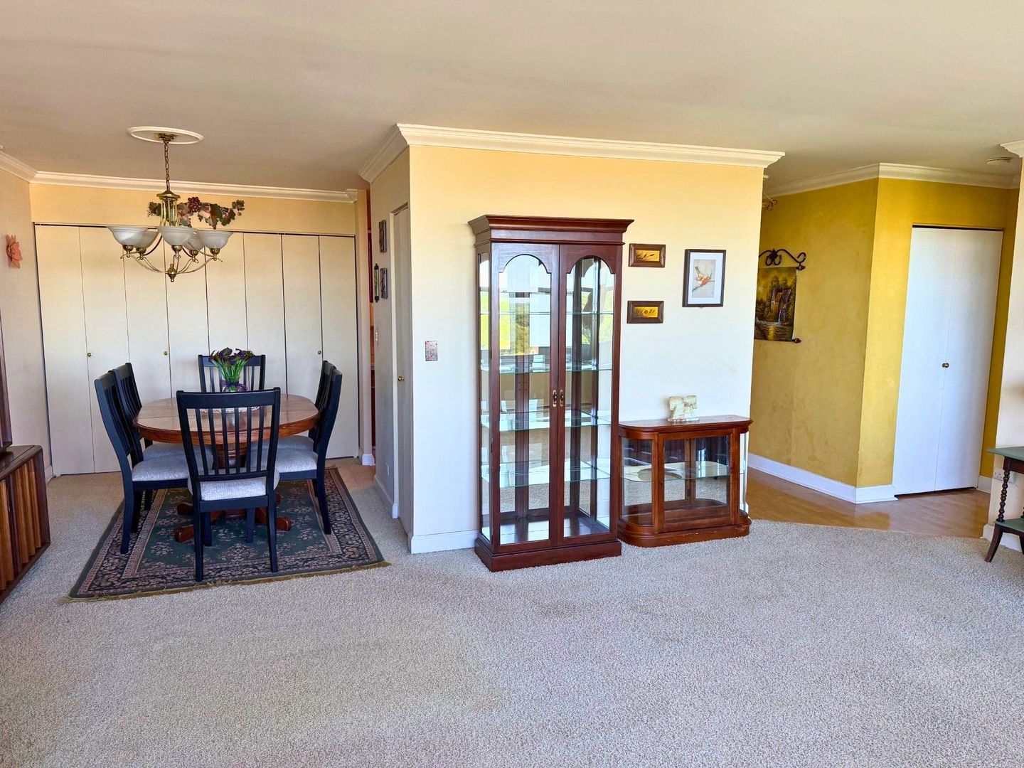 33 North Main Street, Unit 9F Lombard, IL 60148 - Photo 7 of 21