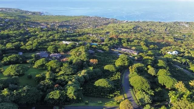 a view of city and mountain