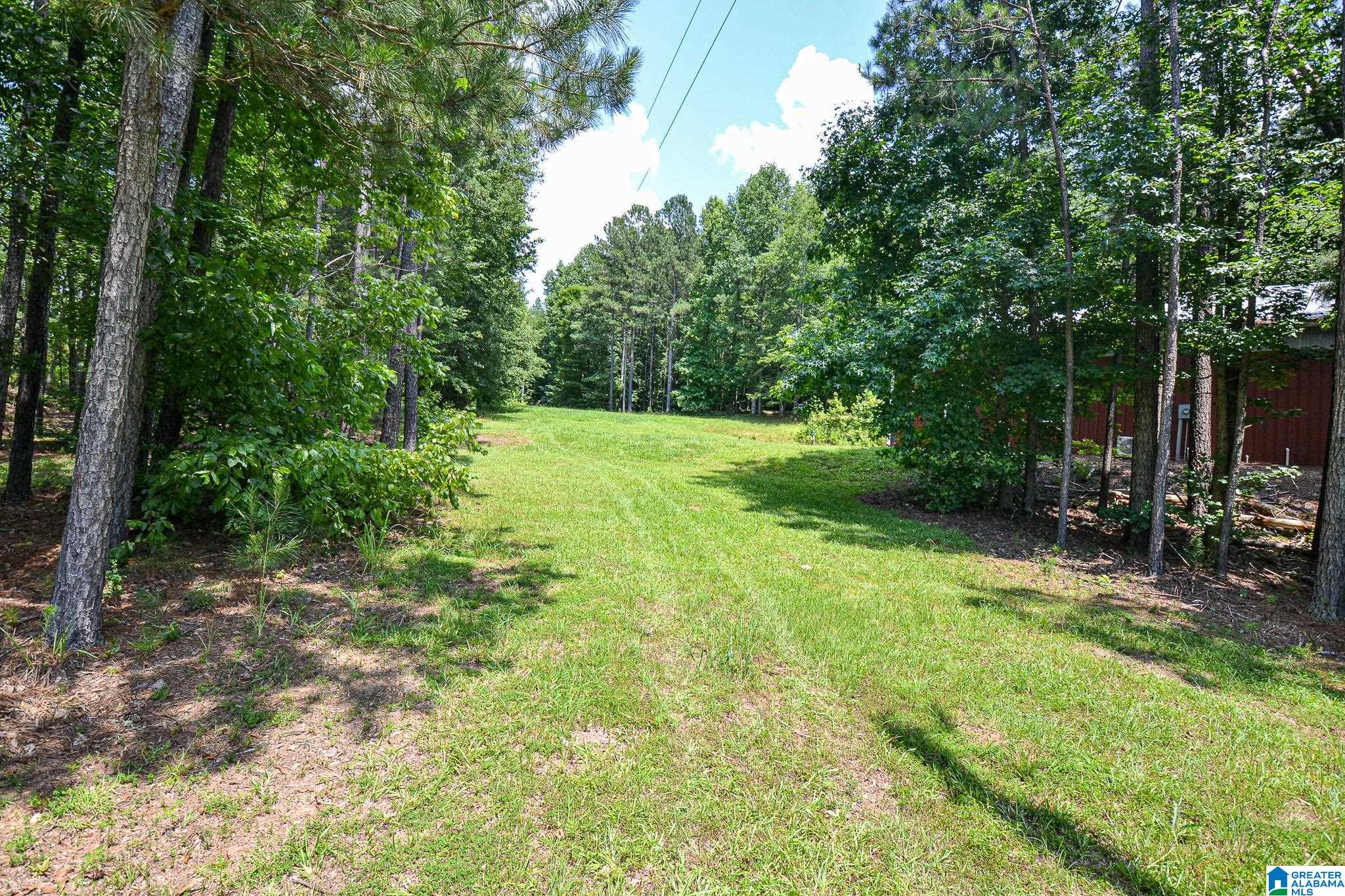 1540 Pepper Road, Unit 49 / ACRES Ashland, AL 36251 - Photo 3 of 31
