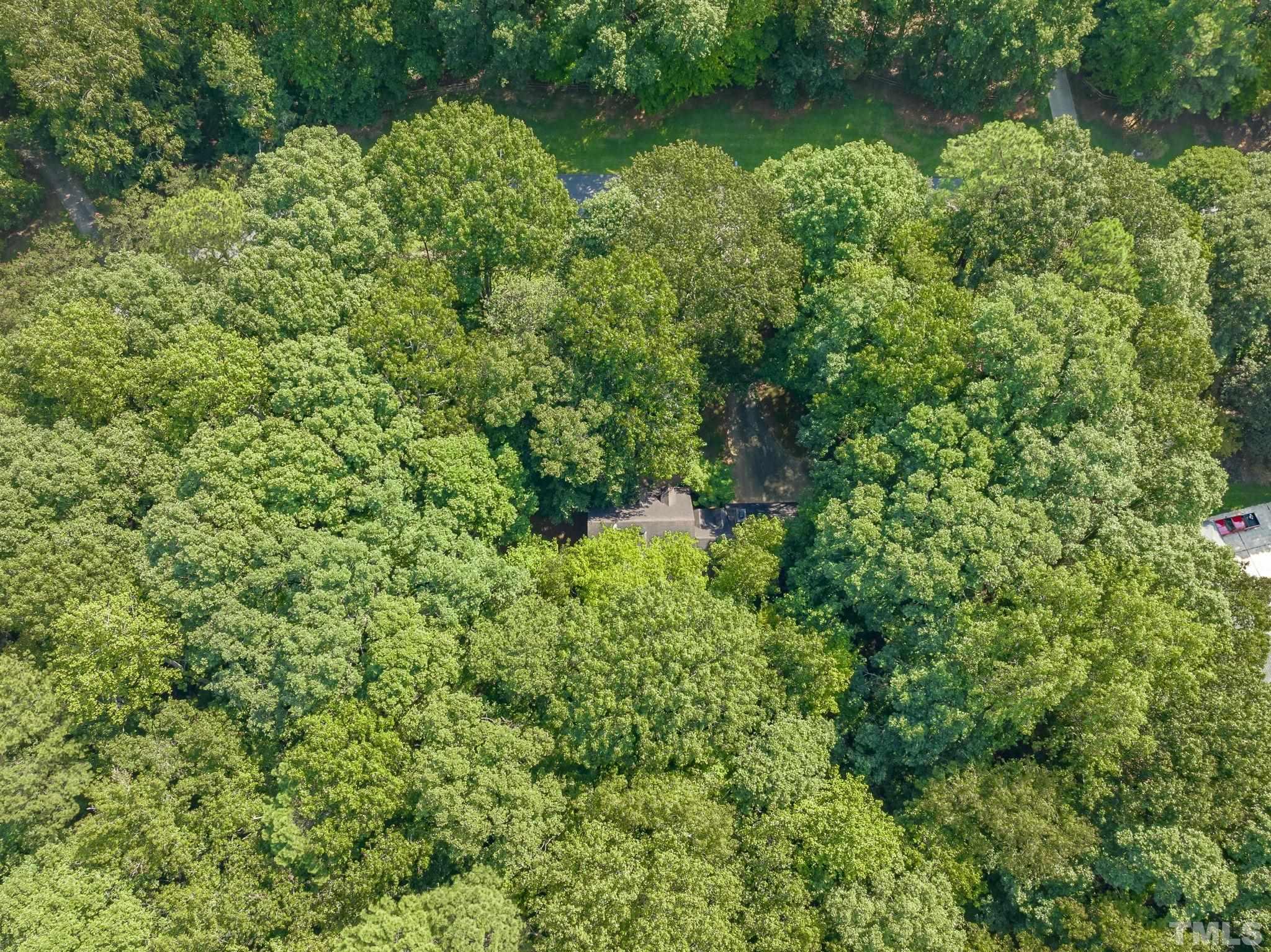 1043 Shadywood Lane Raleigh, NC 27603 - Photo 43 of 46