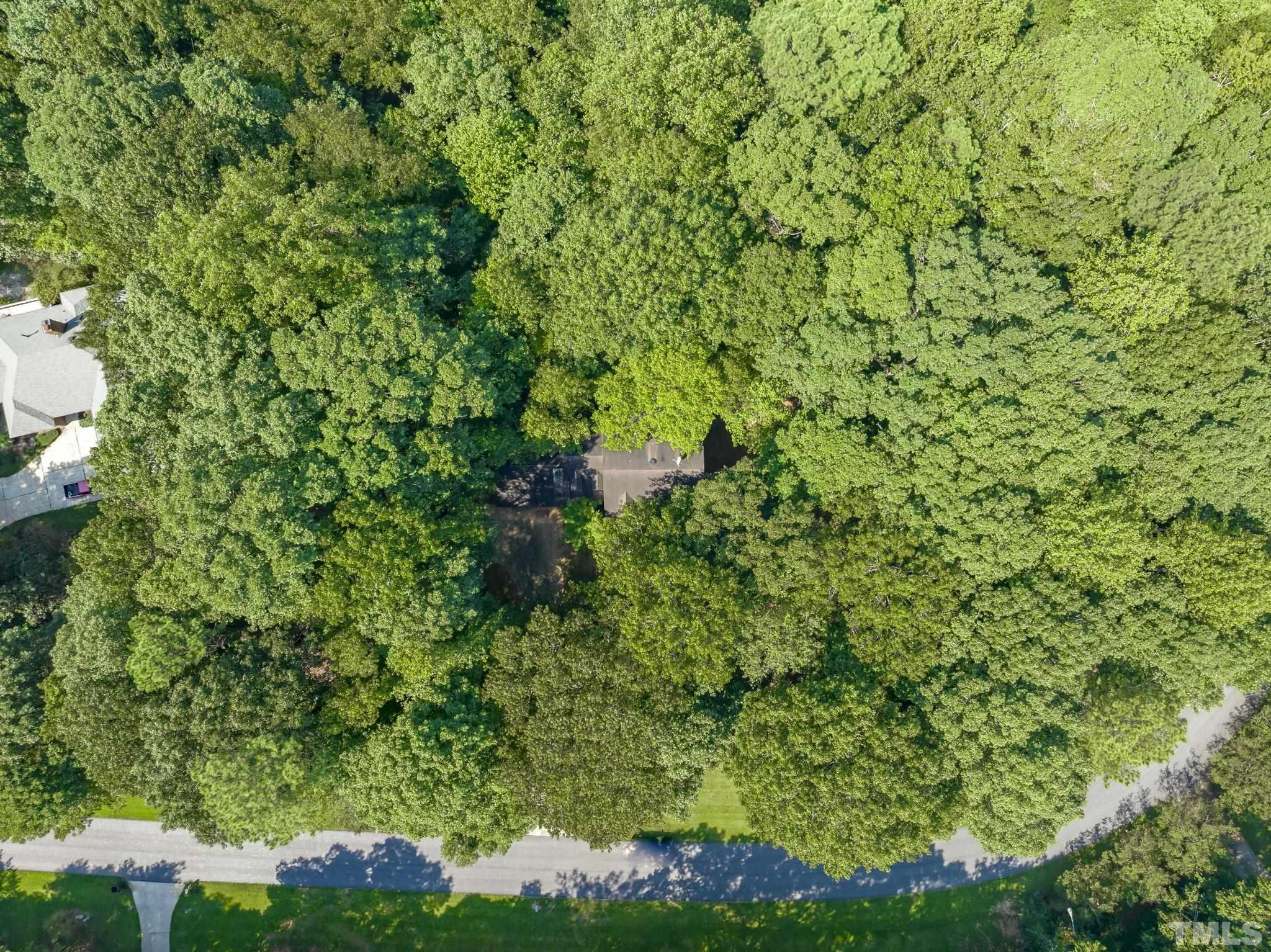 1043 Shadywood Lane Raleigh, NC 27603 - Photo 45 of 46