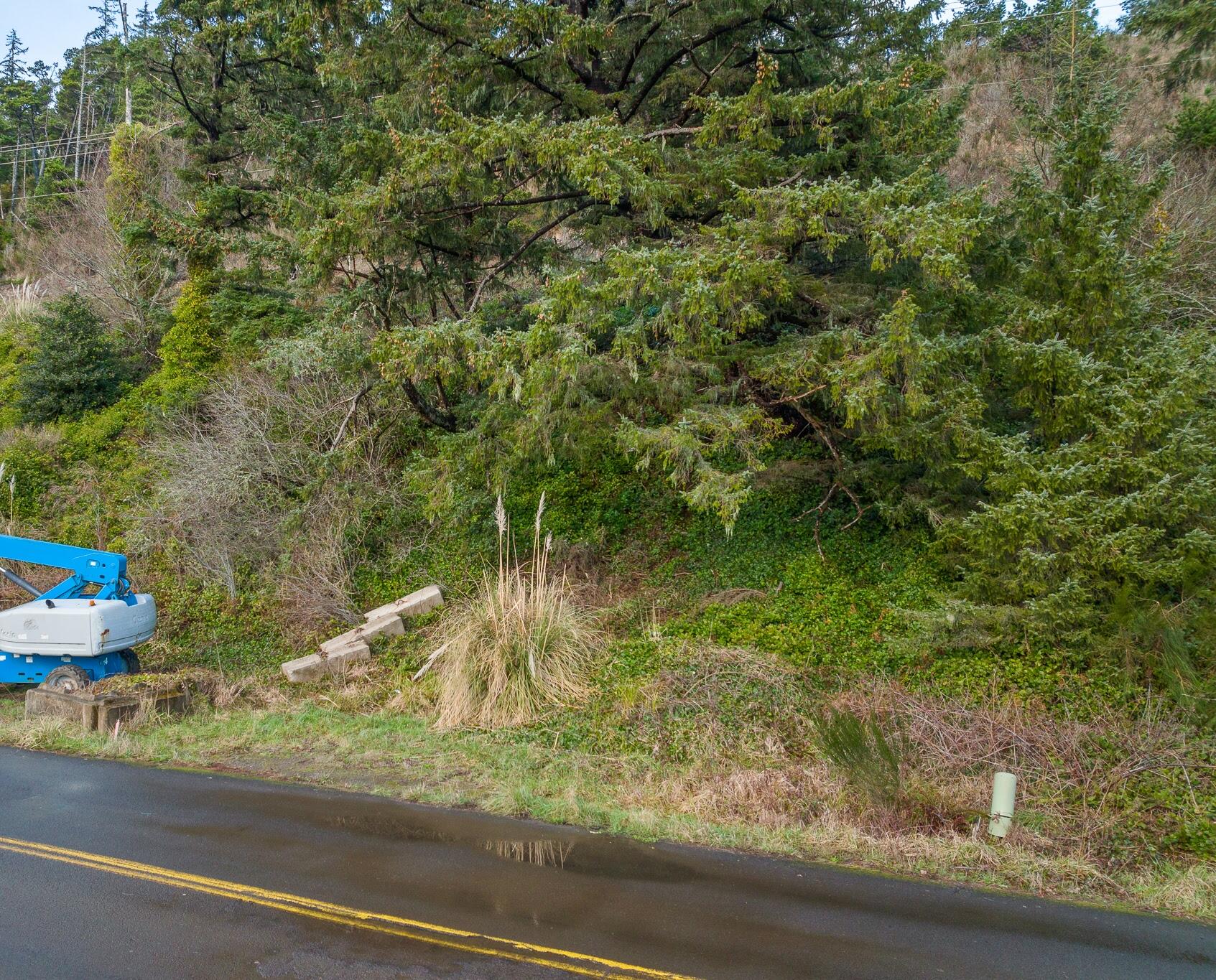 224 Happy Camp Road Tillamook, OR 97141 - Photo 14 of 17 TL 224 Happy Camp