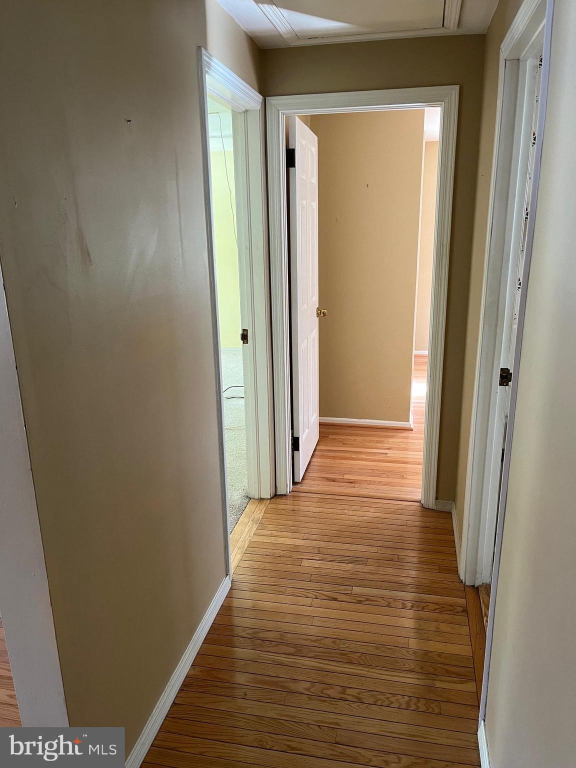 1209 Horsham Road Ambler, PA 19002 - Photo 12 of 45