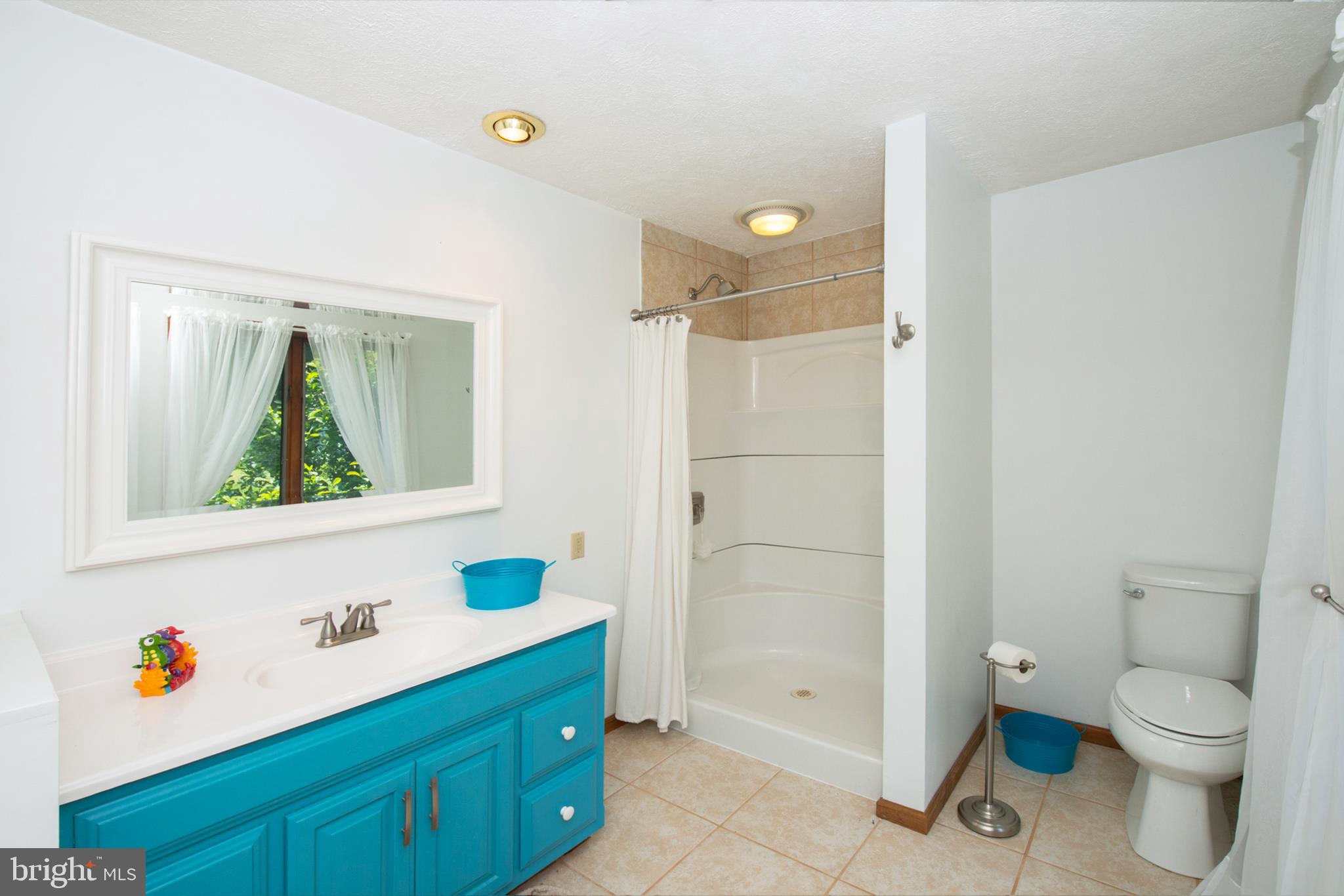 737 Plum Tree Road Bumpass, VA 23024 - Photo 16 of 46 Master bath