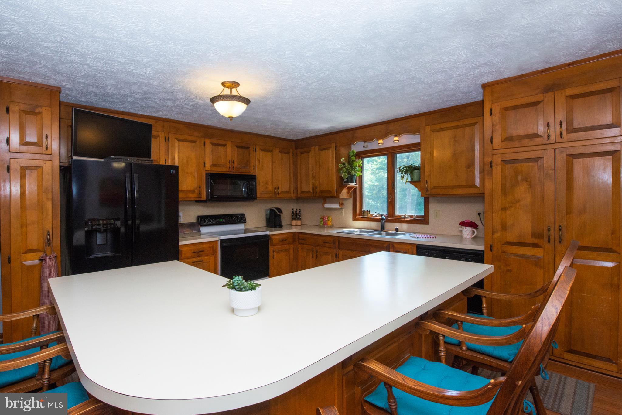 737 Plum Tree Road Bumpass, VA 23024 - Photo 3 of 46 Kitchen with large bar area