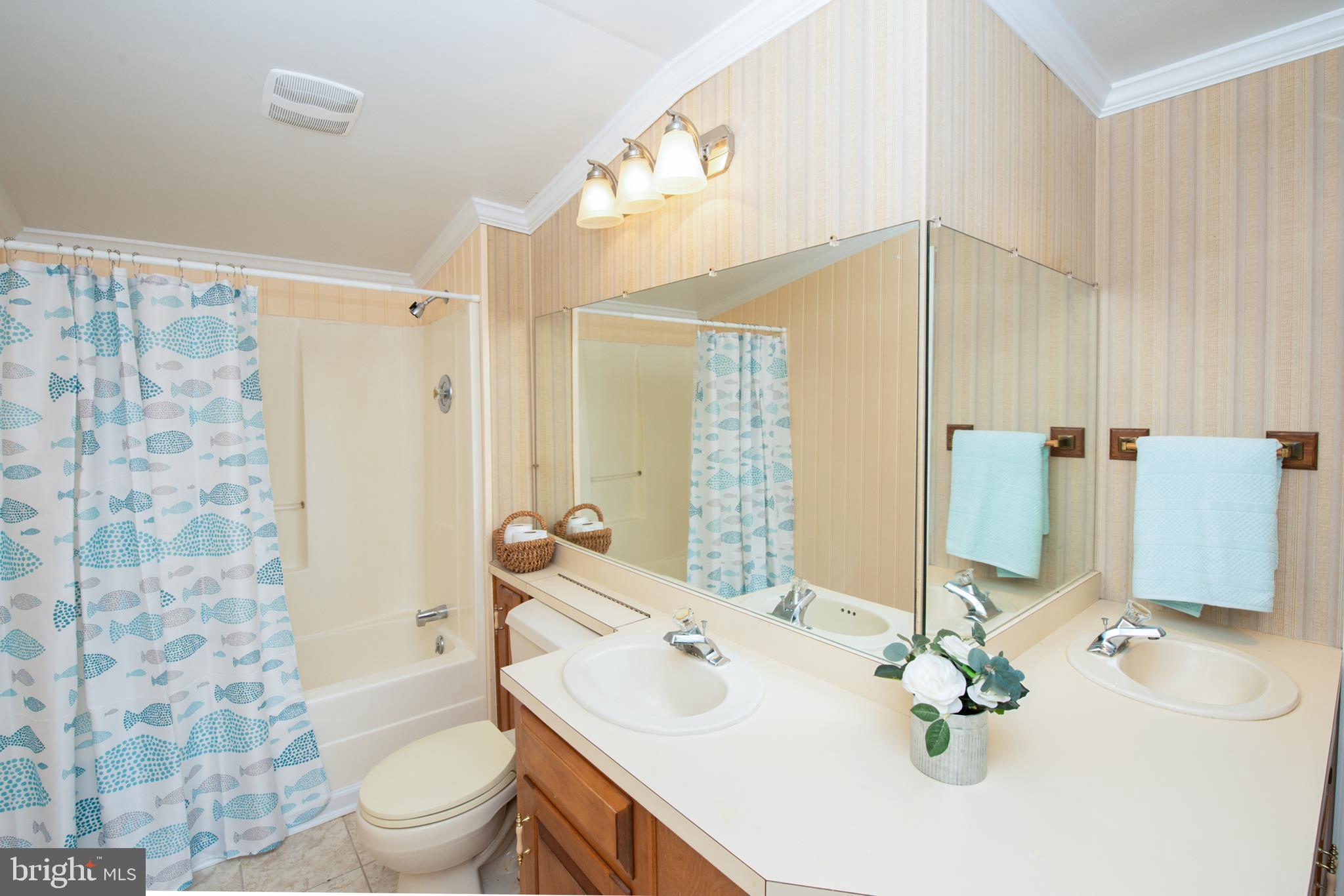 737 Plum Tree Road Bumpass, VA 23024 - Photo 35 of 46 Basement full bath
