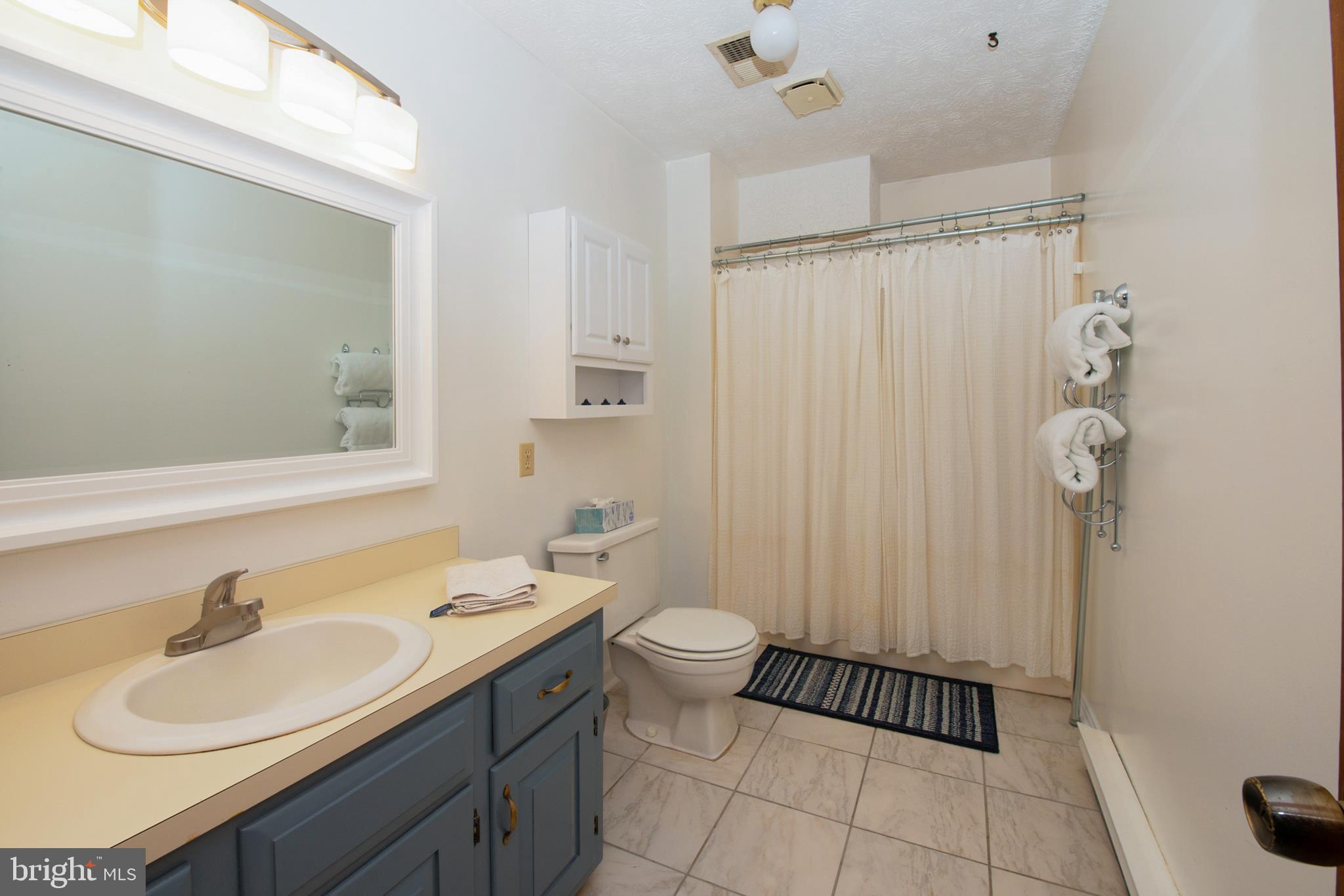 737 Plum Tree Road Bumpass, VA 23024 - Photo 44 of 46 Guest Bath Main Floor
