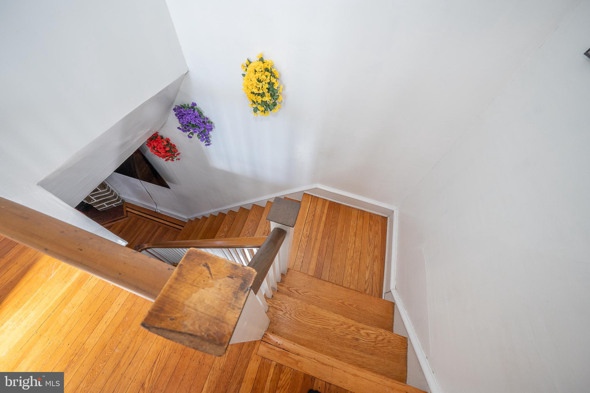 19 Ardsley Road Upper Darby, PA 19082 - Photo 20 of 50