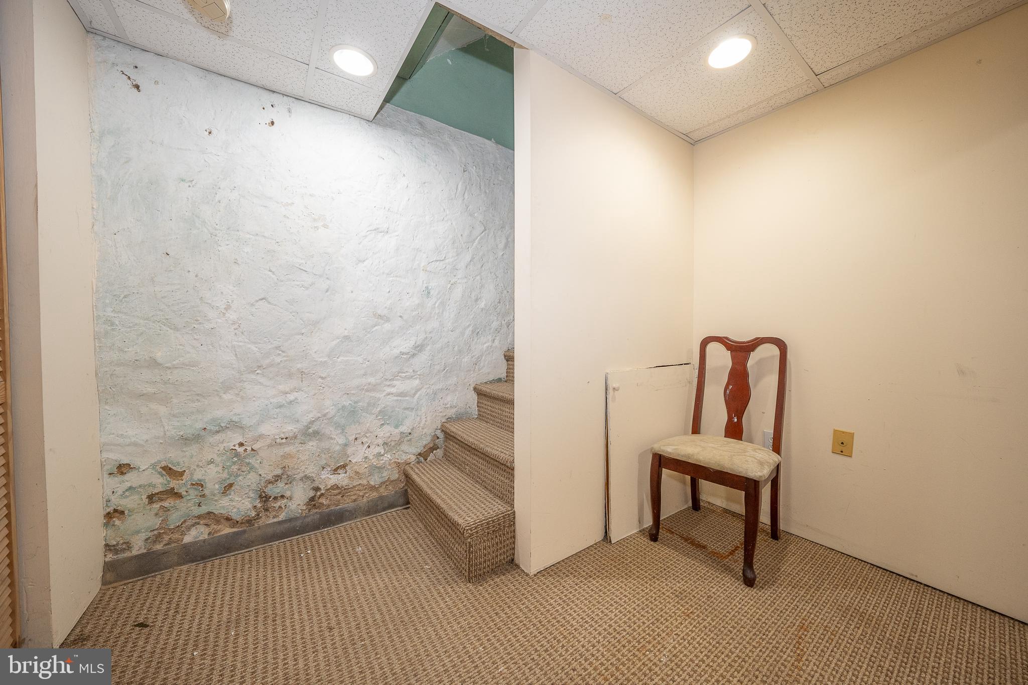 19 Ardsley Road Upper Darby, PA 19082 - Photo 33 of 50