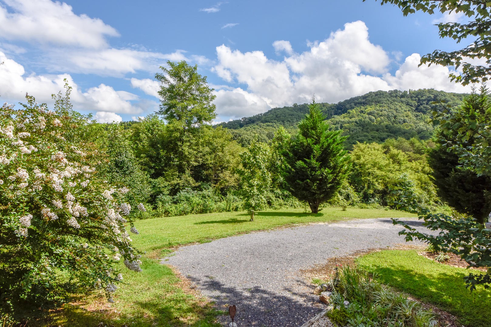 297 Lester Whitt Road Rutledge, TN 37861 - Photo 3 of 27 a view of a garden with plants and large trees