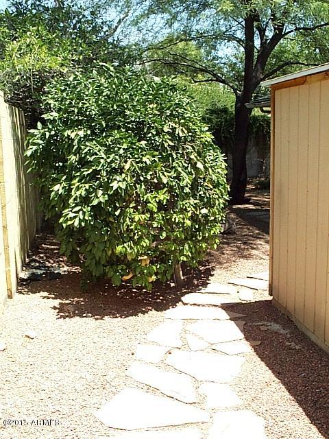 1710 East Rovey Avenue Phoenix, AZ 85016 - Photo 28 of 31 Side Yard