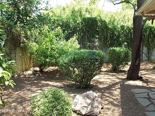 1710 East Rovey Avenue Phoenix, AZ 85016 - Photo 3 of 31 Backyard