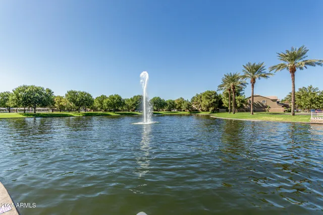 a view of park with large trees