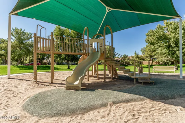a view of a yard with plants and a trees