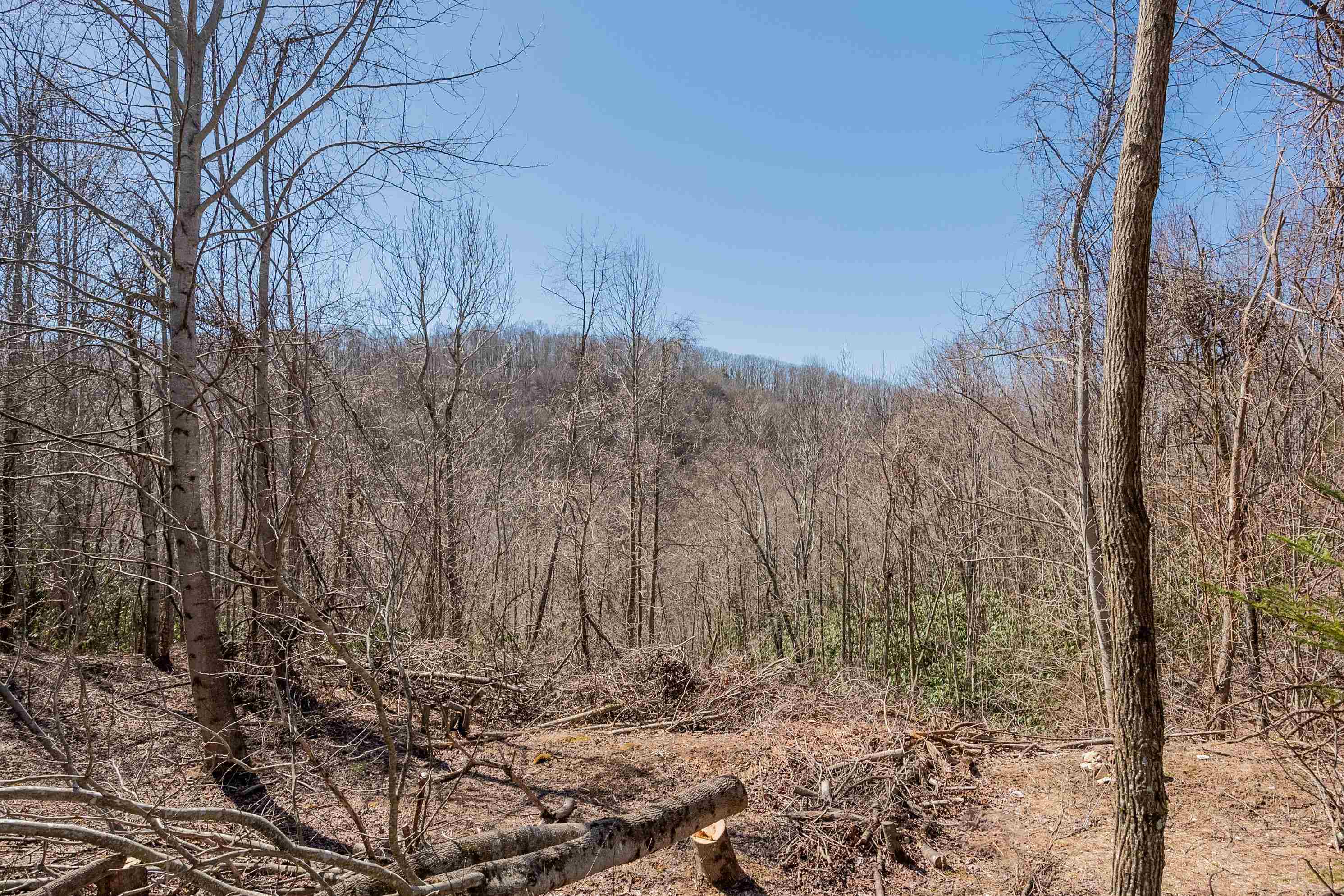 Tbd Southwest Tbd Sw Jeb Stuart Road Southwest Damascus, VA 24236 - Photo 74 of 113 Gallery Image 74