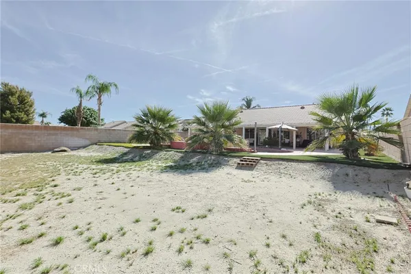 a view of a yard with plants