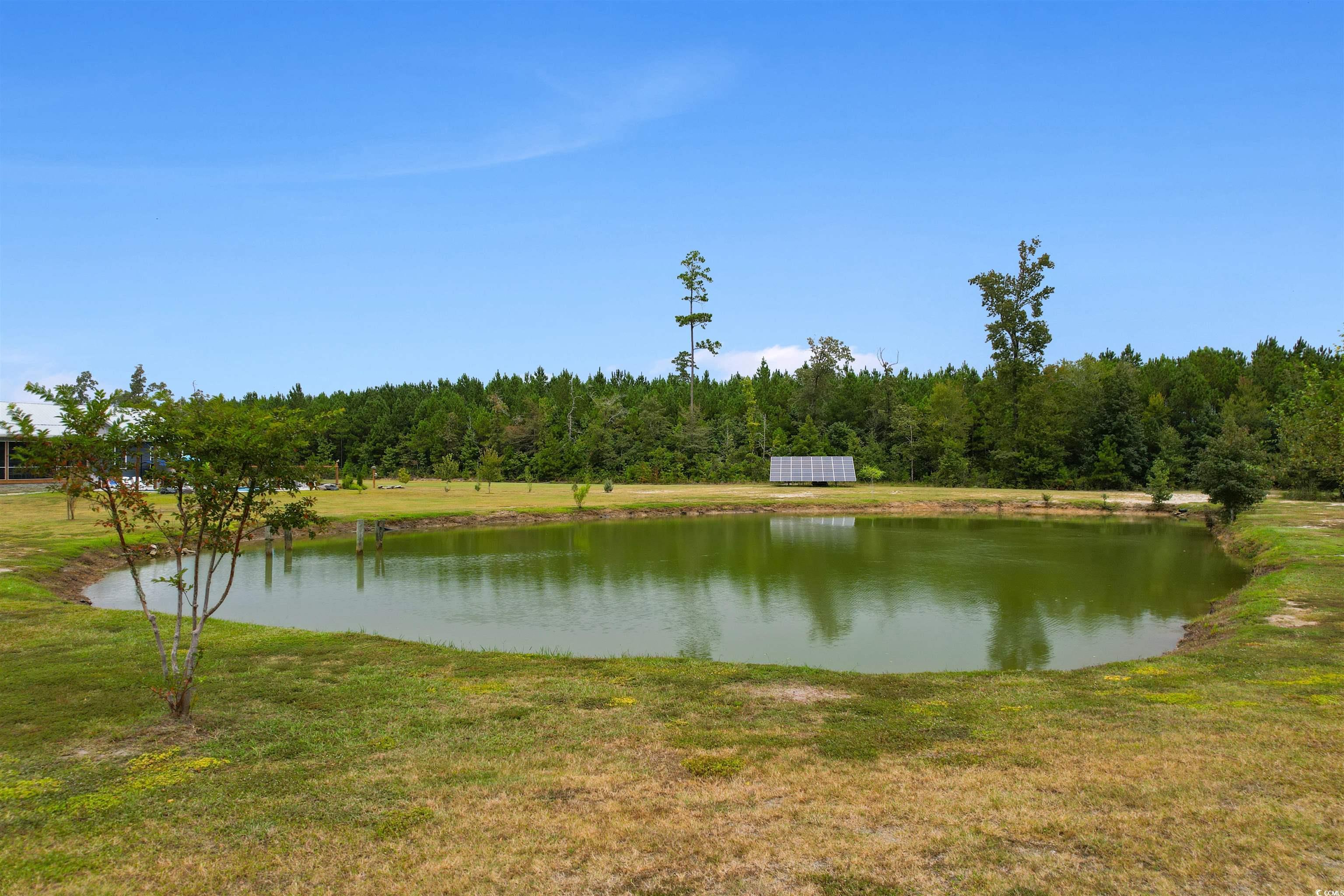 2901 Gause Road Loris, SC 29569 - Photo 35 of 37
