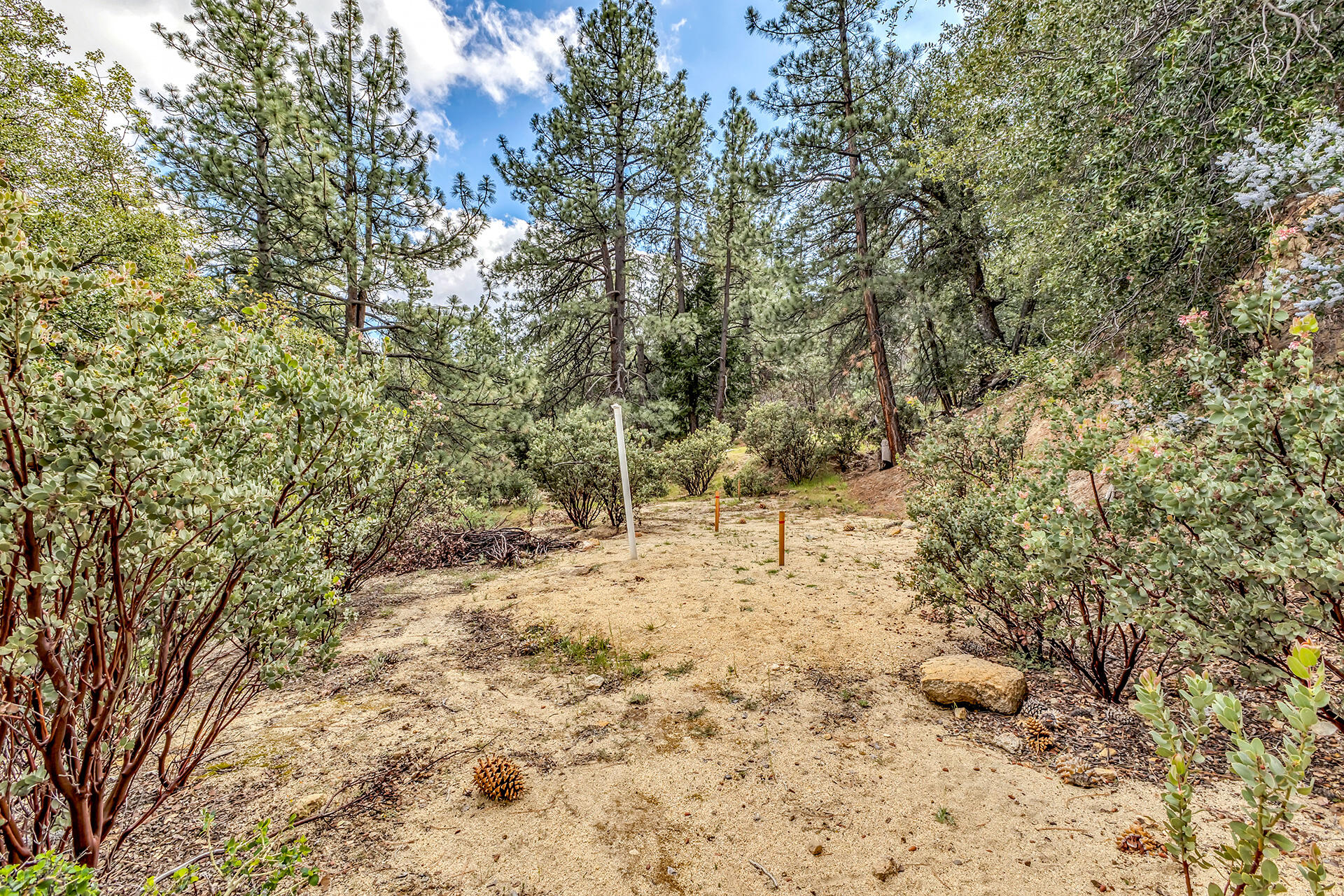 0 Lakeview Drive Idyllwild, CA 92549 - Photo 1 of 26 IMG_7210