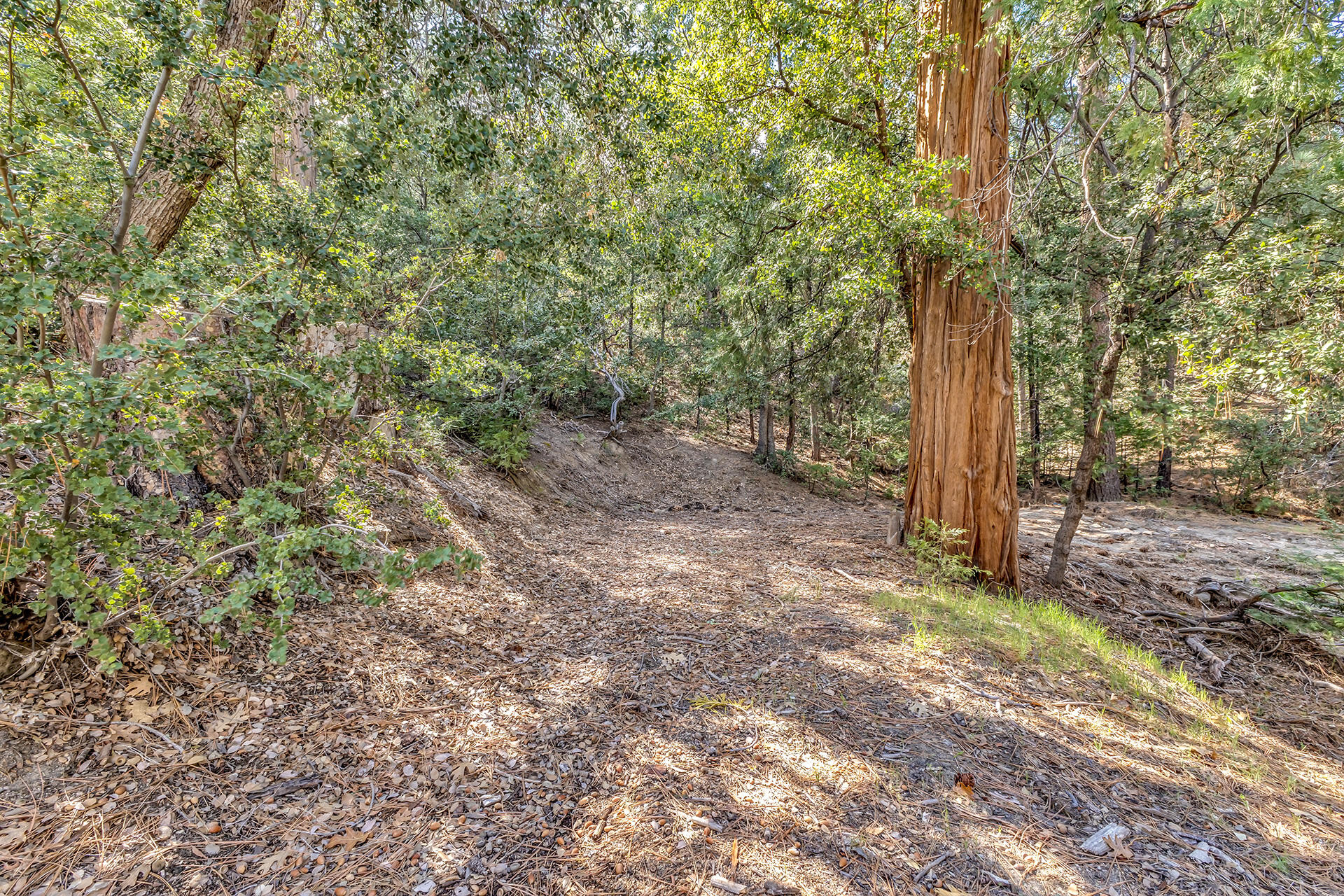 0 Lakeview Drive Idyllwild, CA 92549 - Photo 12 of 26 IMG_7165