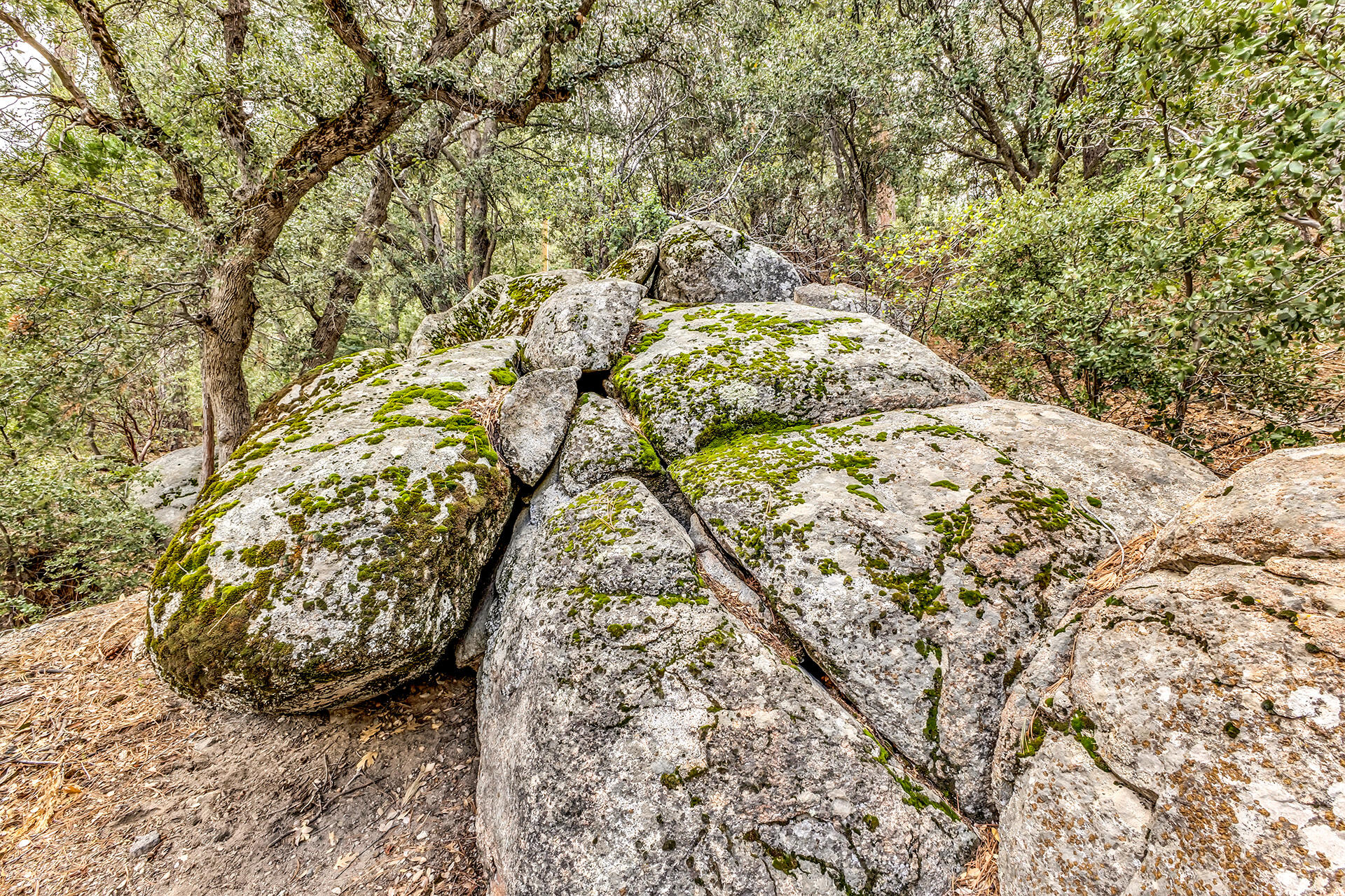 0 Lakeview Drive Idyllwild, CA 92549 - Photo 15 of 26 IMG_7250