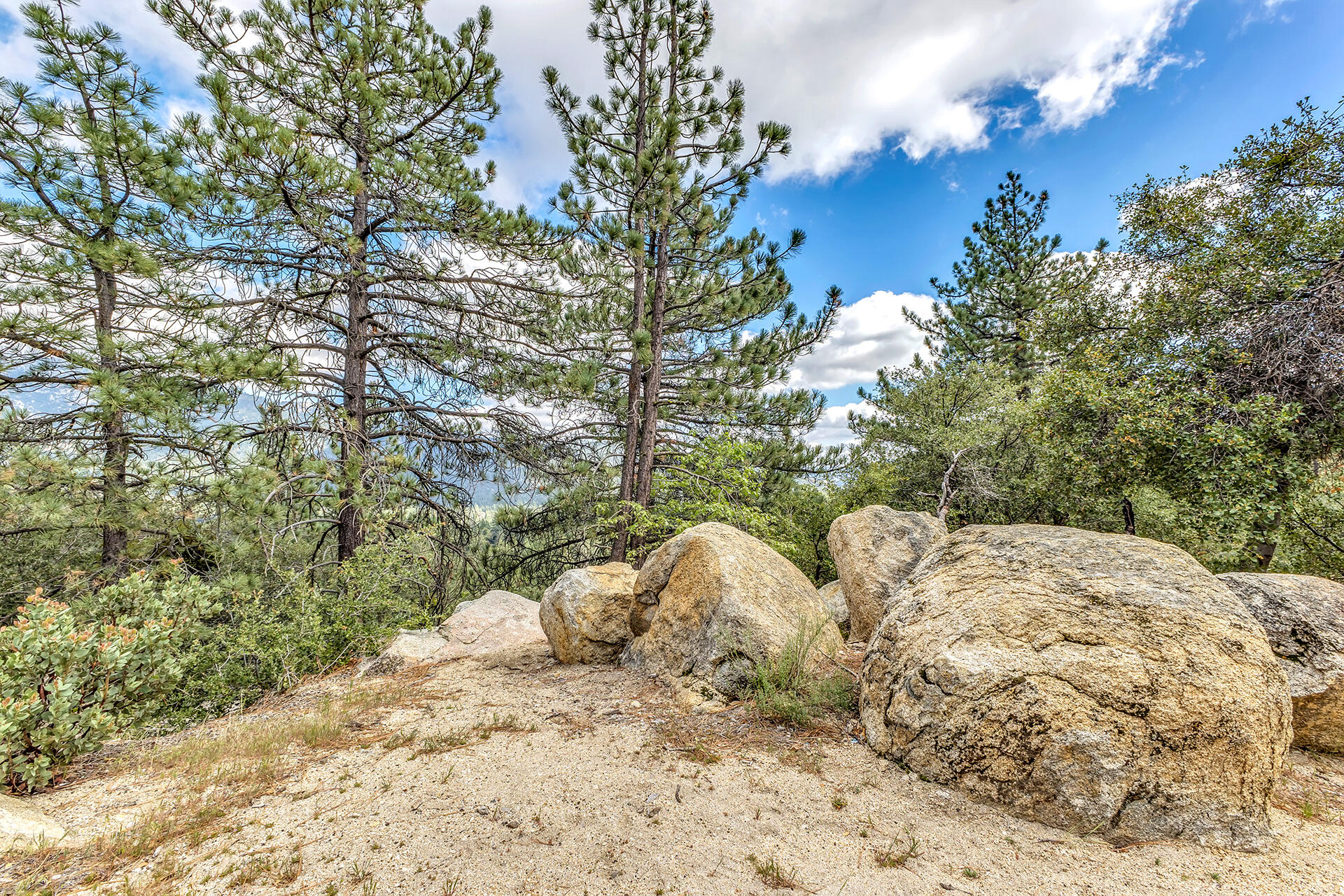 0 Lakeview Drive Idyllwild, CA 92549 - Photo 23 of 26 IMG_7145