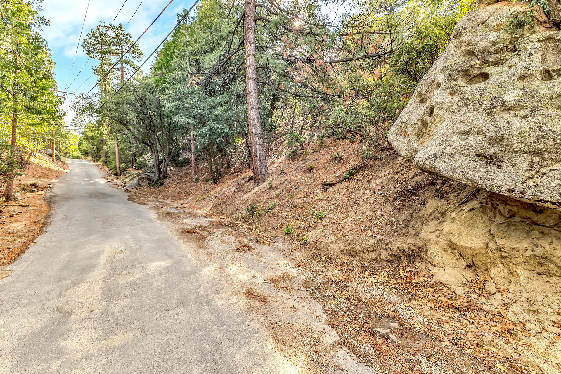 0 Lakeview Drive Idyllwild, CA 92549 - Photo 6 of 26 IMG_7260