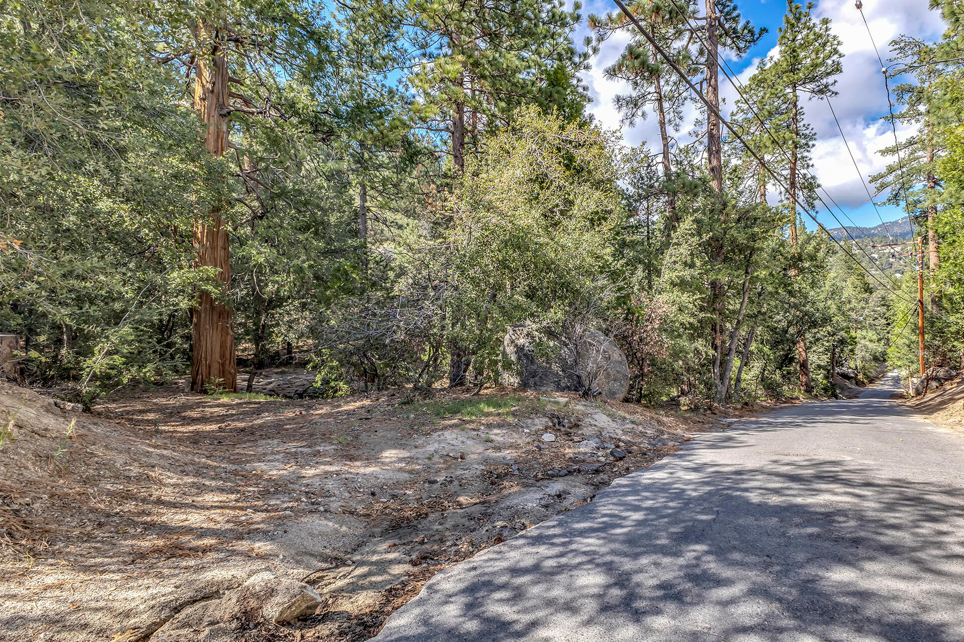 0 Lakeview Drive Idyllwild, CA 92549 - Photo 7 of 26 IMG_7160