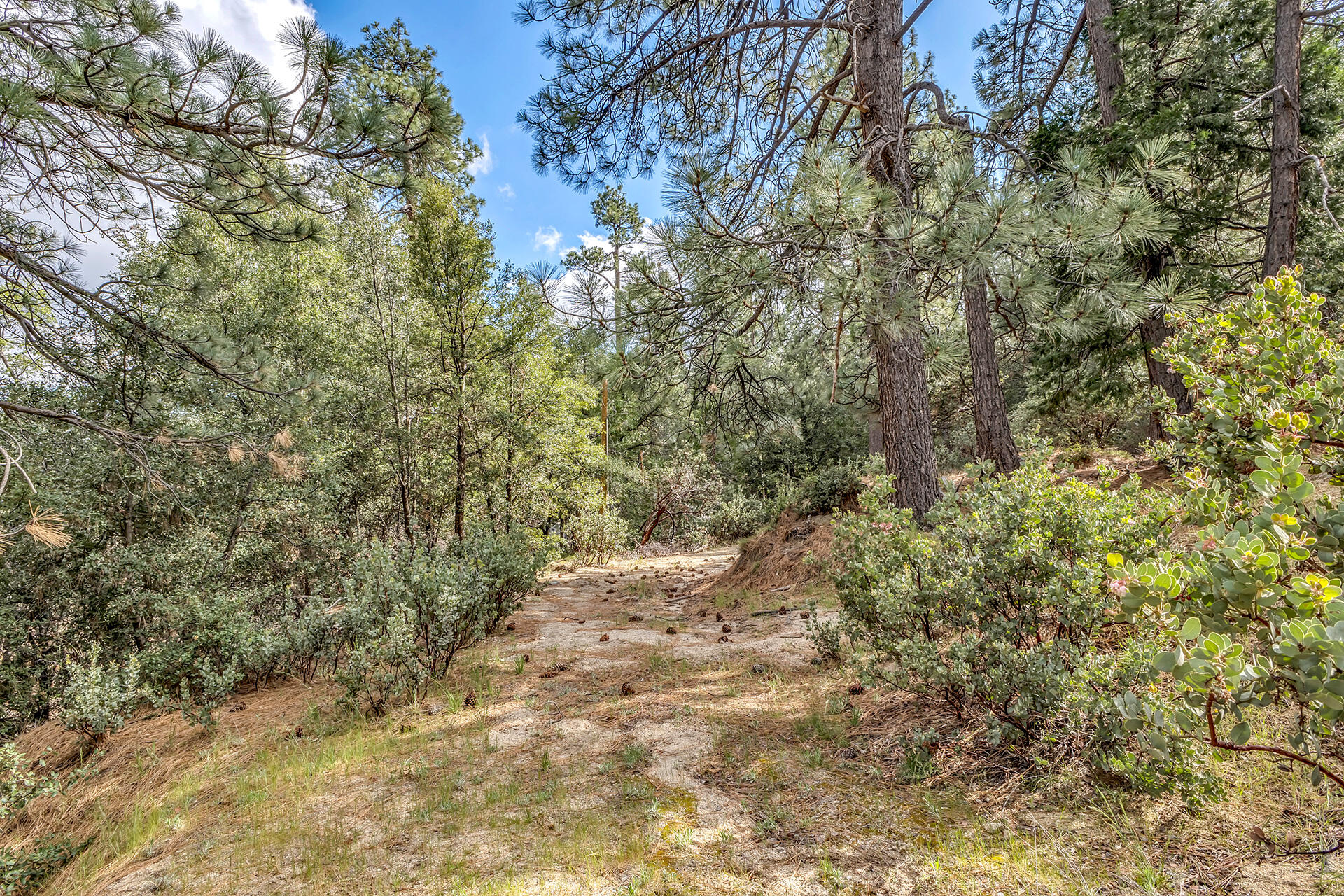 0 Lakeview Drive Idyllwild, CA 92549 - Photo 8 of 26 IMG_7220